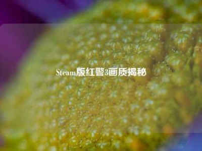 Steam版红警3画质揭秘
