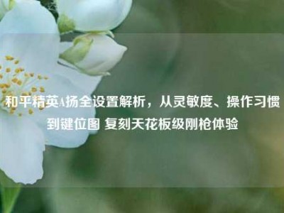 和平精英A扬全设置解析，从灵敏度、操作习惯到键位图 复刻天花板级刚枪体验
