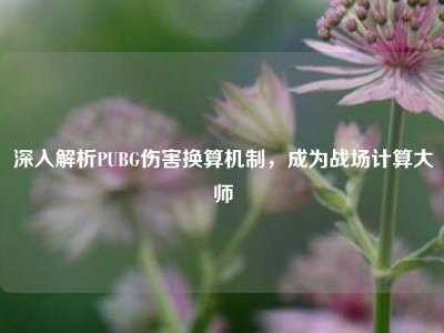 深入解析PUBG伤害换算机制，成为战场计算大师