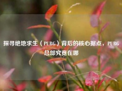 探寻绝地求生（PUBG）背后的核心据点，PUBG总部究竟在哪