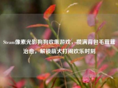 Steam像素光影狗狗收集游戏，攒满背包毛茸茸治愈，解锁萌犬打闹欢乐时刻