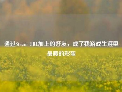 通过Steam URL加上的好友，成了我游戏生涯里最暖的彩蛋