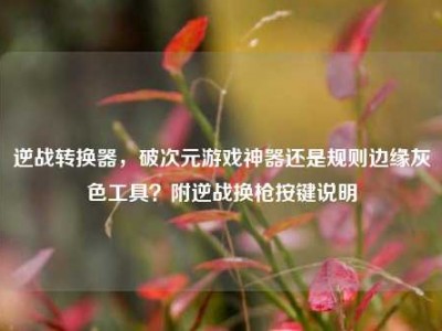 逆战转换器，破次元游戏神器还是规则边缘灰色工具？附逆战换枪按键说明