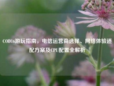 COD16游玩指南，电信运营商选择、网络体验适配方案及CPU配置全解析