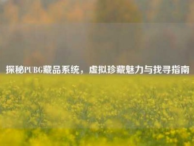 探秘PUBG藏品系统，虚拟珍藏魅力与找寻指南