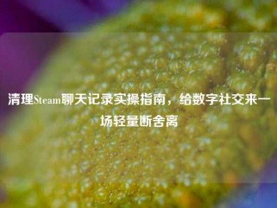 清理Steam聊天记录实操指南，给数字社交来一场轻量断舍离
