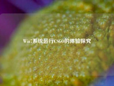 Win7系统运行CSGO的体验探究