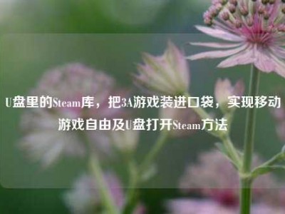 U盘里的Steam库，把3A游戏装进口袋，实现移动游戏自由及U盘打开Steam方法