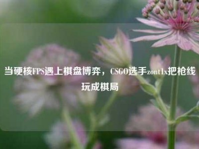 当硬核FPS遇上棋盘博弈，CSGO选手zont1x把枪线玩成棋局