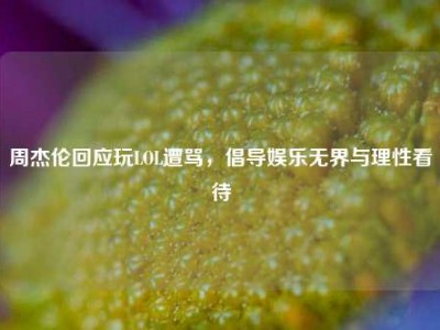 周杰伦回应玩LOL遭骂，倡导娱乐无界与理性看待