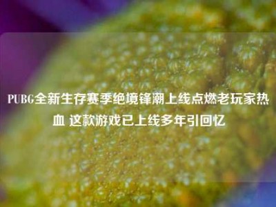 PUBG全新生存赛季绝境锋潮上线点燃老玩家热血 这款游戏已上线多年引回忆