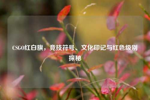 CSGO红白旗，竞技符号、文化印记与红色级别探秘
