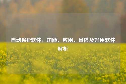 自动换IP软件,功能、应用、风险及好用软件解析