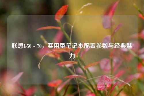 联想G50 - 70，实用型笔记本配置参数与经典魅力