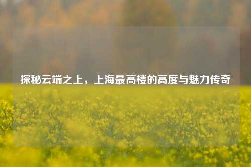 探秘云端之上，上海最高楼的高度与魅力传奇