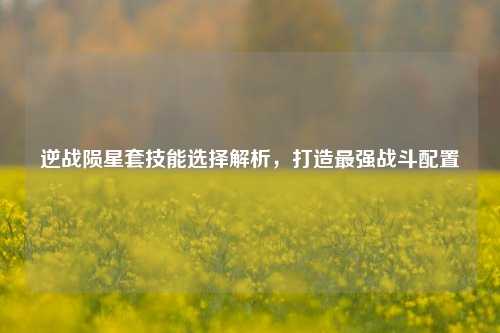逆战陨星套技能选择解析，打造最强战斗配置