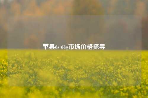 苹果6s 64g市场价格探寻
