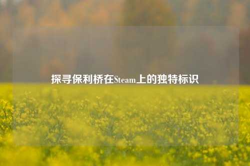探寻保利桥在Steam上的独特标识