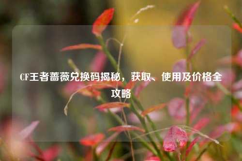 CF王者蔷薇兑换码揭秘,获取、使用及价格全攻略