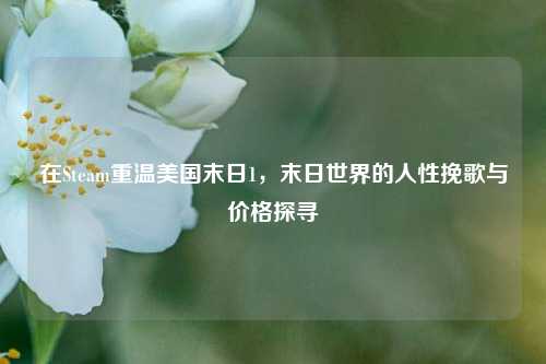 在Steam重温美国末日1,末日世界的人性挽歌与价格探寻