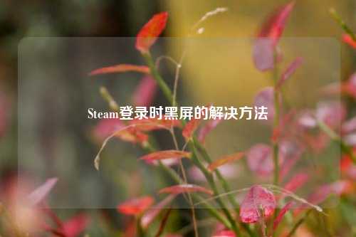 Steam登录时黑屏的解决方法