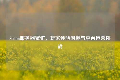 Steam服务器繁忙，玩家体验困境与平台运营挑战