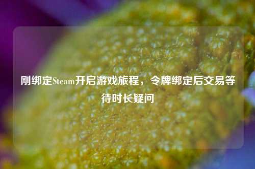刚绑定Steam开启游戏旅程，令牌绑定后交易等待时长疑问