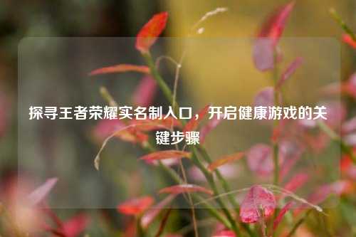 探寻王者荣耀实名制入口，开启健康游戏的关键步骤