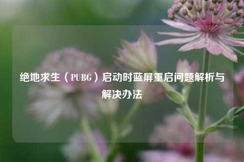 绝地求生(PUBG)启动时蓝屏重启问题解析与解决办法