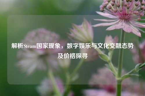 解析Steam国家现象，数字娱乐与文化交融态势及价格探寻