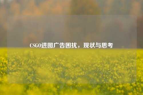 CSGO进图广告困扰,现状与思考