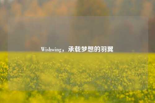 Wishwing，承载梦想的羽翼