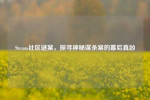 Steam社区谜案，探寻神秘谋杀案的幕后真凶