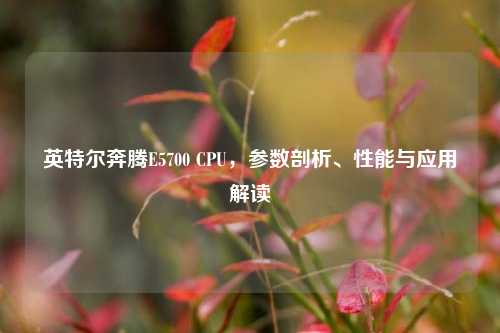 英特尔奔腾E5700 CPU，参数剖析、性能与应用解读