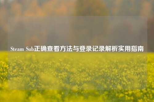 Steam Sub正确查看方法与登录记录解析实用指南