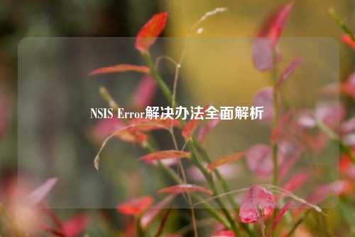 NSIS Error解决办法全面解析