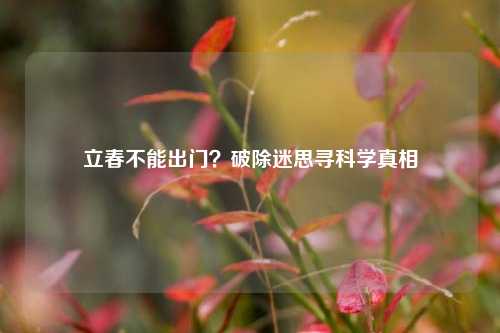立春不能出门？破除迷思寻科学真相