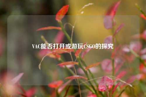 VAC能否打开或游玩CSGO的探究