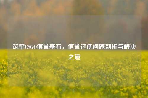筑牢CSGO信誉基石,信誉过低问题剖析与解决之道