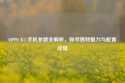 OPPO R17手机参数全解析，探寻独特魅力与配置详情