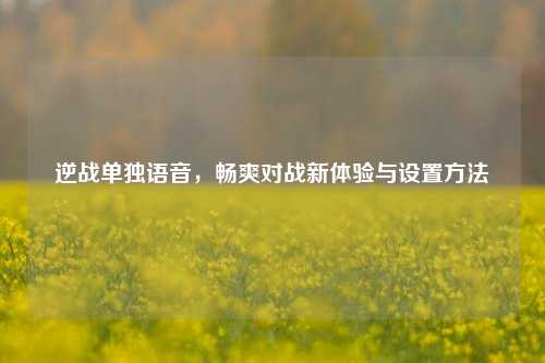逆战单独语音,畅爽对战新体验与设置方法