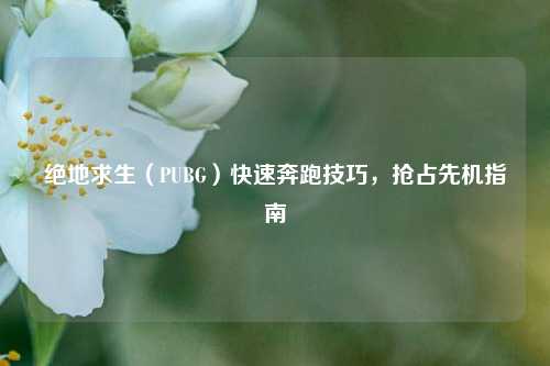 绝地求生(PUBG)快速奔跑技巧,抢占先机指南