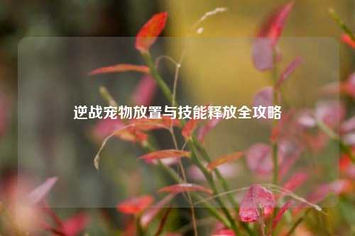 逆战宠物放置与技能释放全攻略