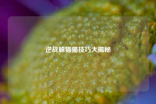 逆战躲猫猫技巧大揭秘
