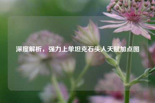 深度解析，强力上单坦克石头人天赋加点图