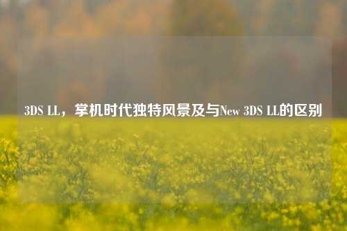 3DS LL，掌机时代独特风景及与New 3DS LL的区别