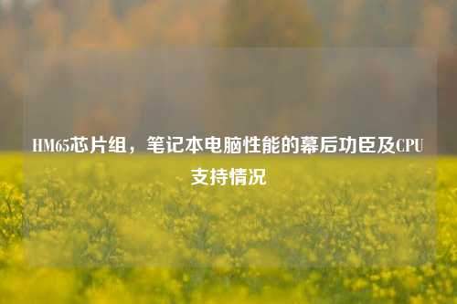 HM65芯片组,笔记本电脑性能的幕后功臣及CPU支持情况