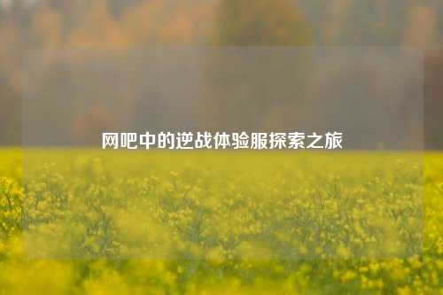 网吧中的逆战体验服探索之旅