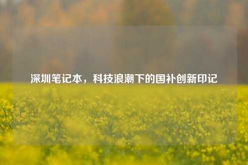 深圳笔记本,科技浪潮下的国补创新印记