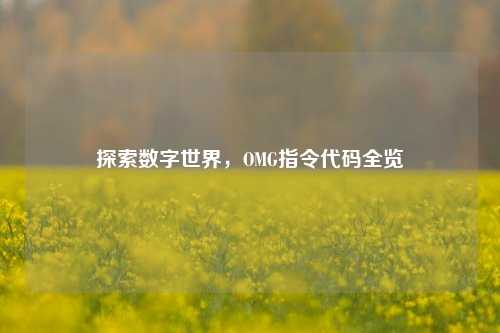 探索数字世界，OMG指令代码全览